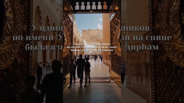Аромат исходивший от Пророка Мухьаммада ﷺ