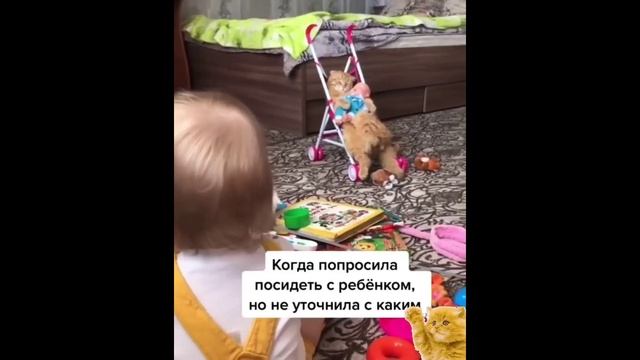 🔴 Ой какие милашки!!!😍🤗🥰💕❤️👍#всемдобра #хорошегонастроения