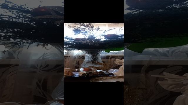 Таро.Что вы думаете о мужчине.