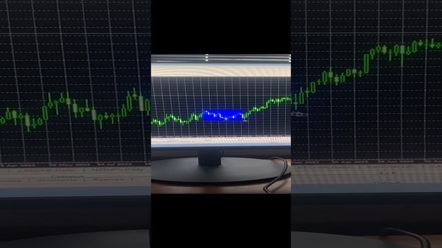 New NY indicator BstTraderintheworld 
#shorts