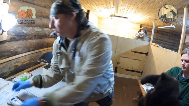 Команда доктора айболита из Госпиталя Дикой Природы навестила своих подопечных