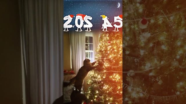 прощай 2024 год