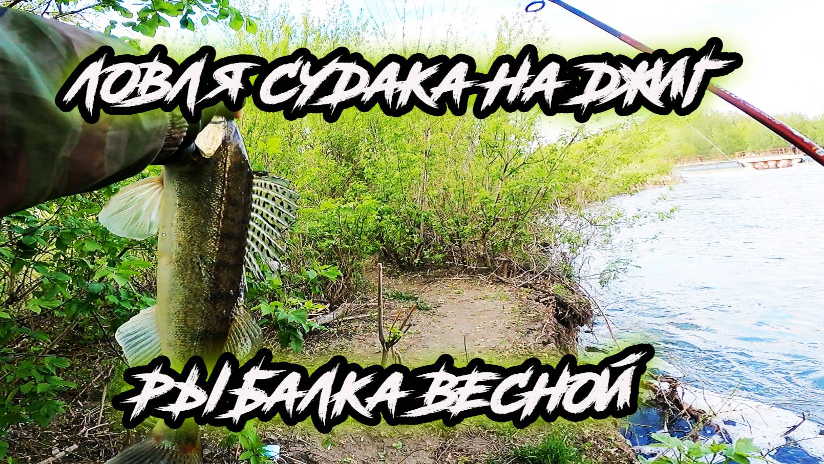 Ловля судака на джиг. Береговая рыбалка со спиннингом.