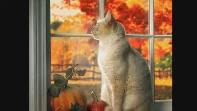 Autumn Leaves - Nat King Cole