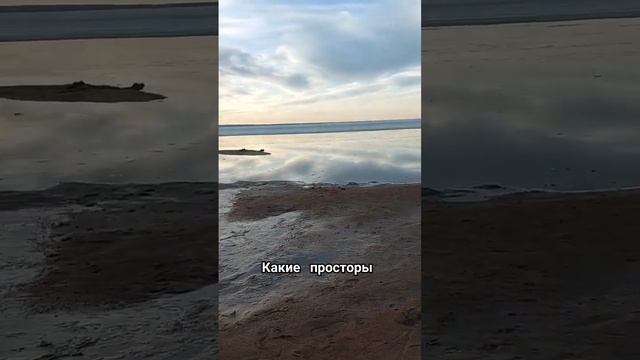волжские просторы. берег Волги . река Волга