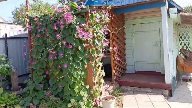 VID-20241026-WA0015.mp4