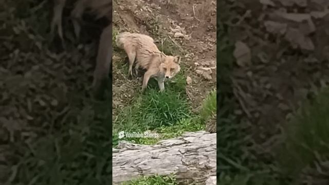 1000068404.mp4