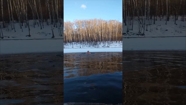 Январские купания а полыньи.