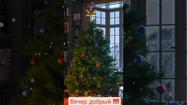 1000148062.mp4