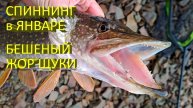 🔥 Щука СОШЛА с УМА, поклевки на КАЖДОМ ЗАБРОСЕ, в чем причина?! Удивительный зимний спиннинг 🔥