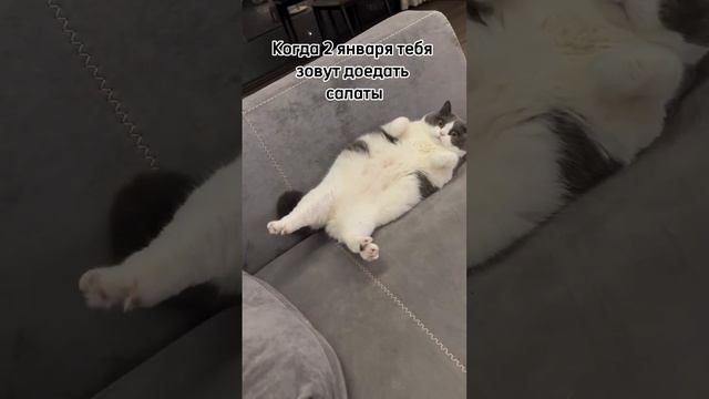 когда немного поправился;)