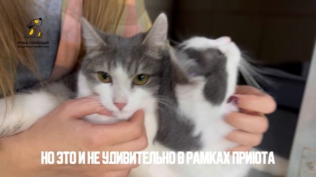 Наши новички с последнего приема - Кинг и Конг.
 Поддержать ⬇️