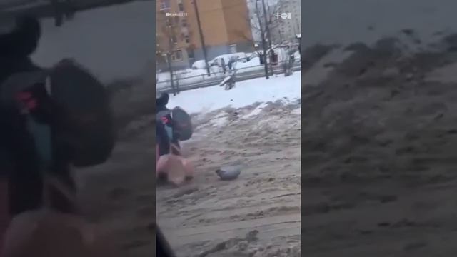 1000011082.mp4