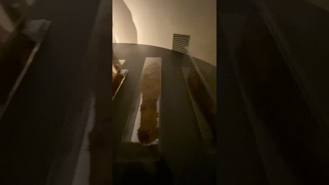 Все в музей!
