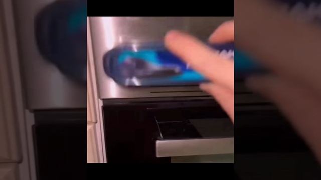 Губка для обуви полирует холодильник