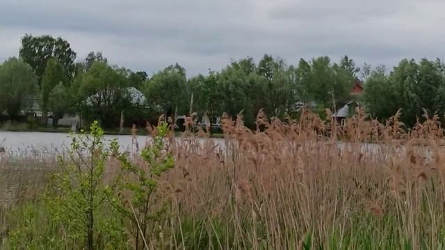 Тихий вечер)  Серебро на воде