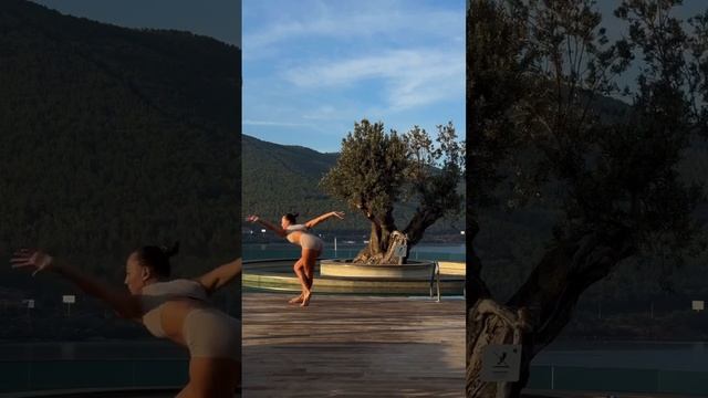 1002003543.mp4
