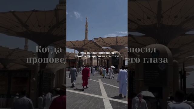 Речь Пророка ﷺ