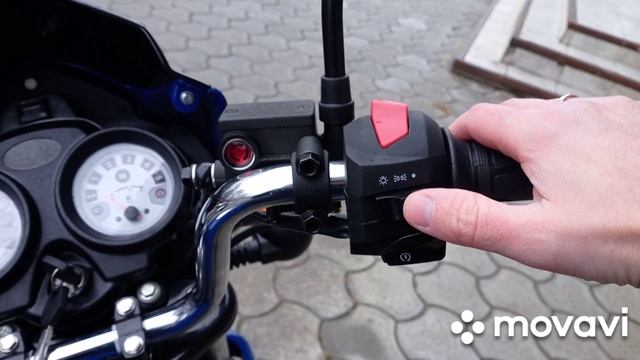 Пародистый Индийский конь TVS 150