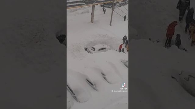 Замело.mp4