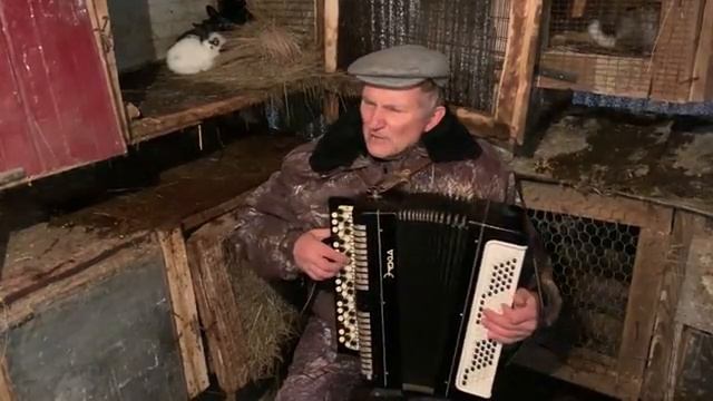 Песню про зайцев слушают братцы кролики
