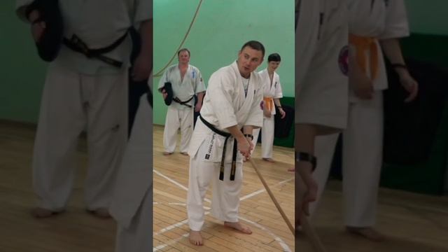 Кёкусинкай / Сихан Алексей Горохов / Проработка Маваси гэри-дзёдан на подушке-5 (2016)