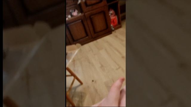 блог с басиками ❤