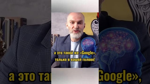 Программы - это синапсные связи в голове