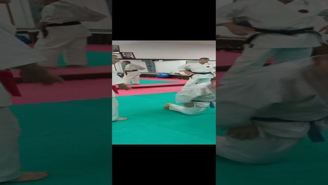 Bunkai Kururunfa Kenshikai Goju-ryu Igor Lizunkov.mp4