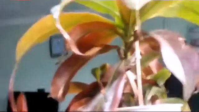 Хищники после зимы