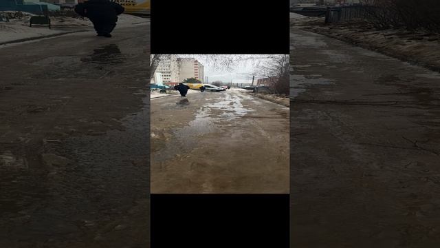 3 января. Где снег?