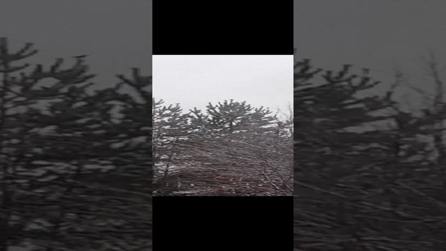 Вот это да