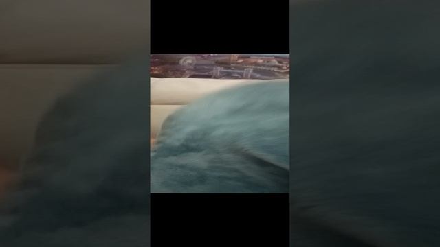 Кабибару съела акула