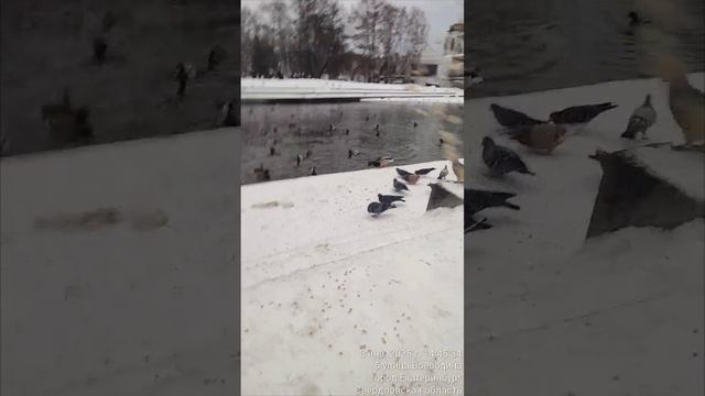 Ekaterinburg PLOTINKA