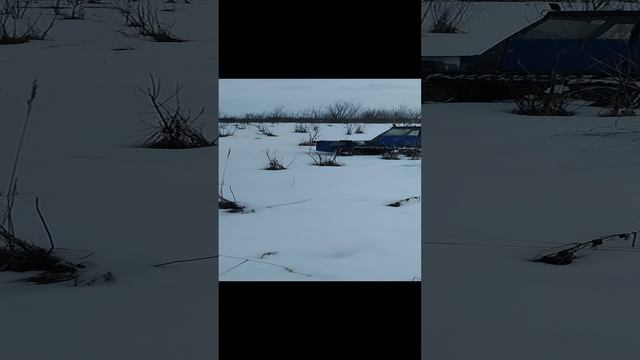 Покатушки