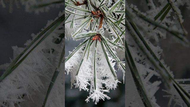 Начало-нового.Стих.