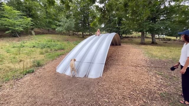 Finishing The Bow Cone - Building Our Own Boat - Ep. 358 RAN Sailing