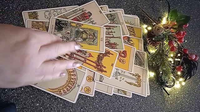 VID_20250103_105100.mp4