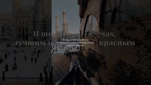 Телосложение Пророка Мухьаммада ﷺ