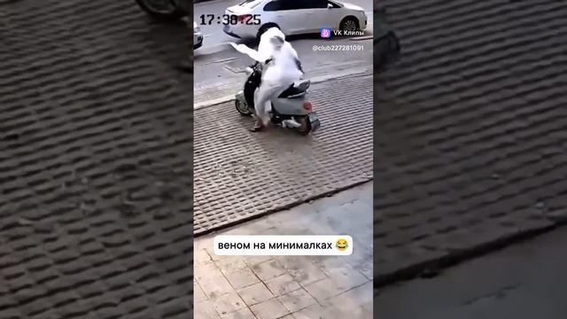 Веном🤣