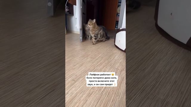Лайфхак