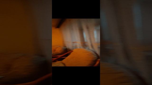 VID_20250103_161905