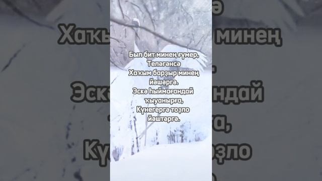 Был бит минең ғүмер...