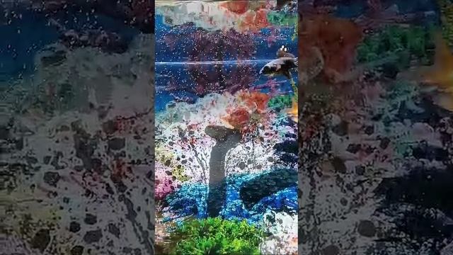 VID-20241008-WA0003.mp4инструментал