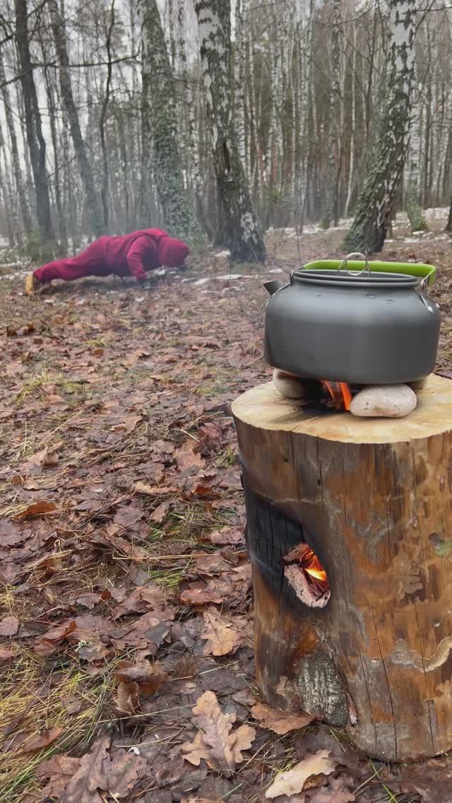 Как раздобыть горячий чай в лесу с помощью пня?