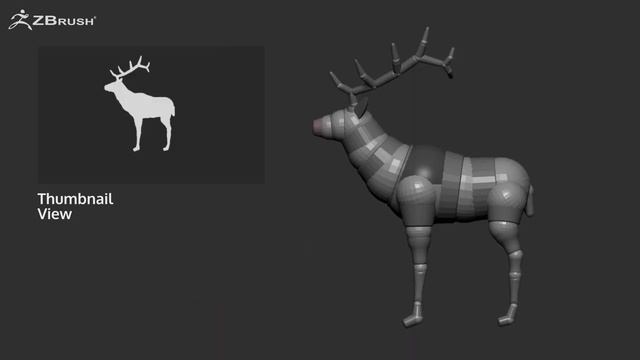 ZBrush 2020 - Thumbnail View