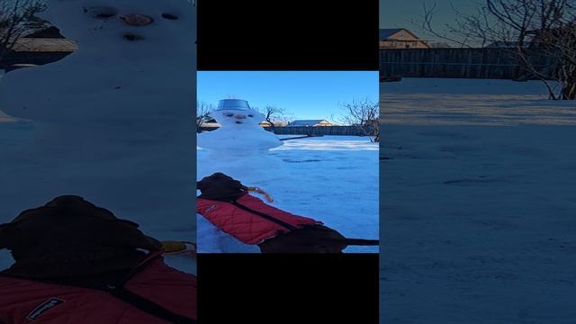 1000013296.mp4