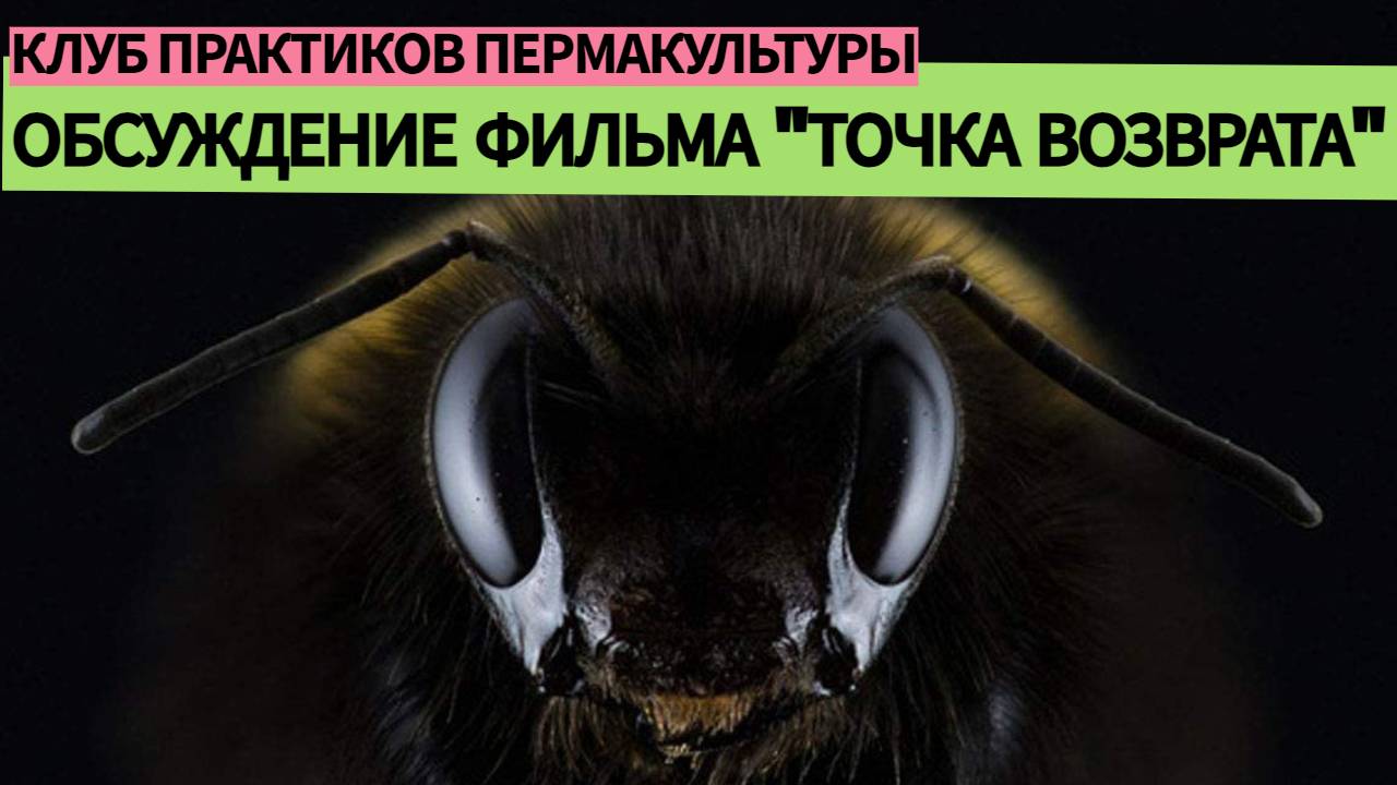 ПЧЕЛЫ ХОТЯТ, ЧТОБЫ ВЫ ЭТО ЗНАЛИ. Обсуждение фильма "Точка возврата" с одним из его создателей