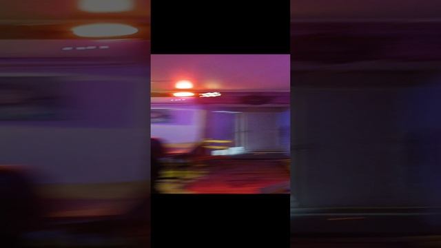 Ярослав Кукольников 45 Песня бременские музыканты!