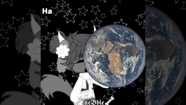 [13:54] [П]::— Мяау